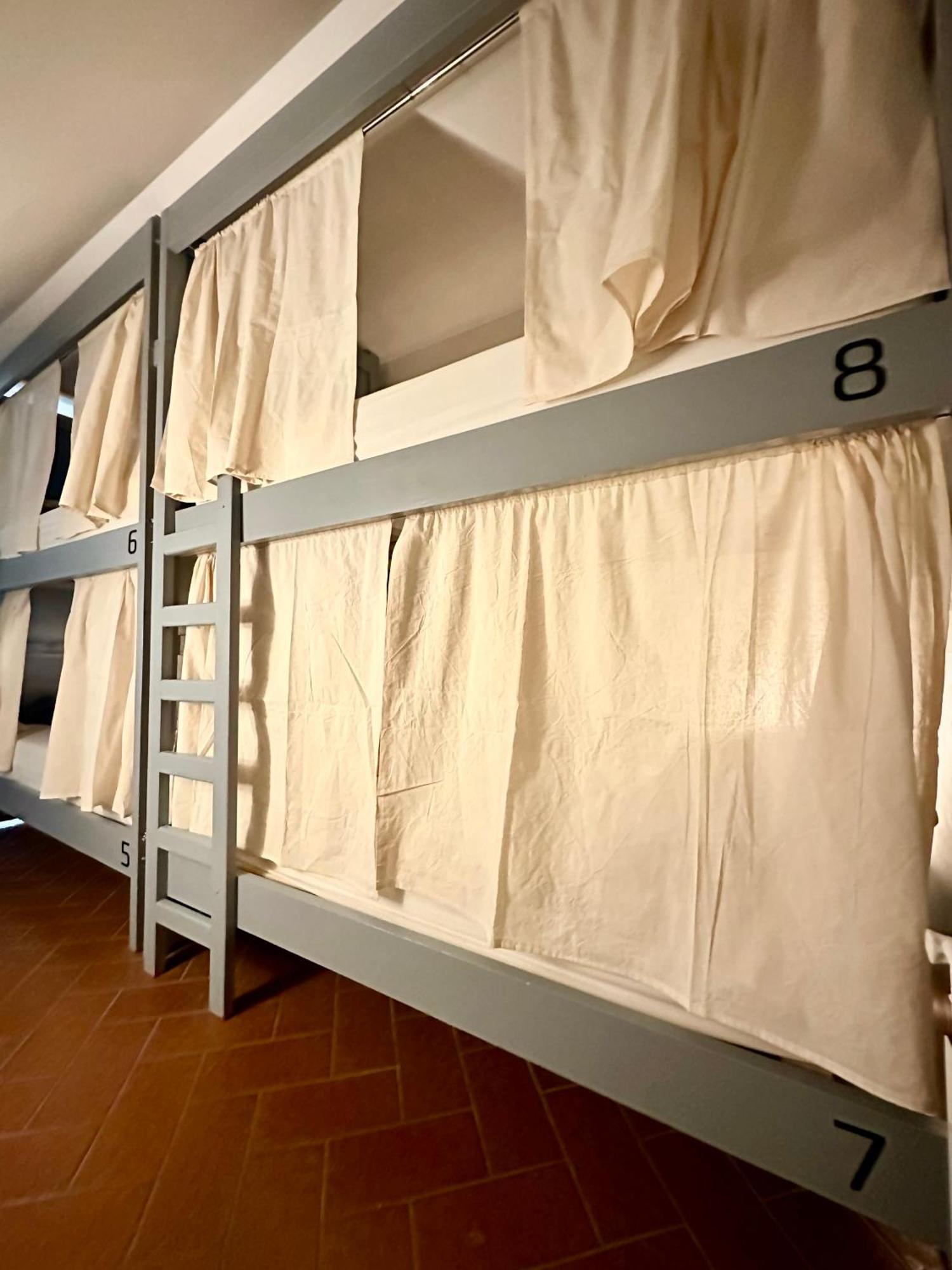 Gorilla Hostel Mendoza Oda fotoğraf