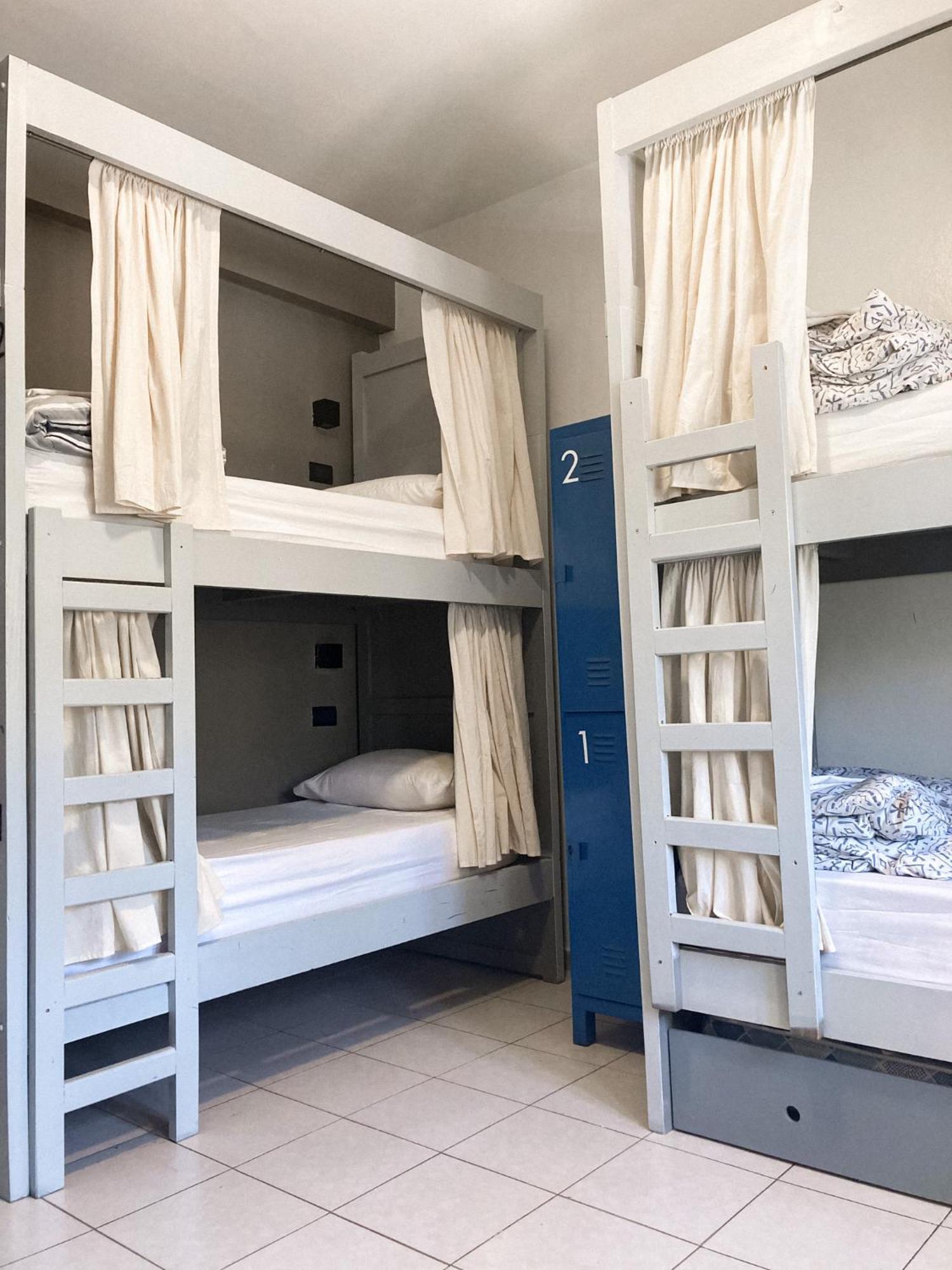 Gorilla Hostel Mendoza Oda fotoğraf